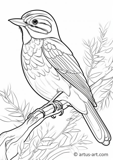 Awesome Meadowlark Coloring Page